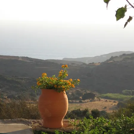 Thea Vlichada Casa vacanze Makrotándalon